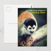 Eekhoornaapje in boom briefkaart (Voorkant / Achterkant)