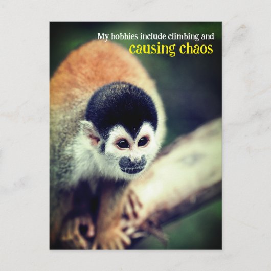 Eekhoornaapje in boom briefkaart (Voorkant)