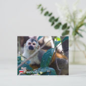 Eekhoornaapje in Manuel Antonio NP - Costa Rica Briefkaart (Staand voorkant)