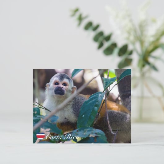 Eekhoornaapje in Manuel Antonio NP - Costa Rica Briefkaart (Staand voorkant)