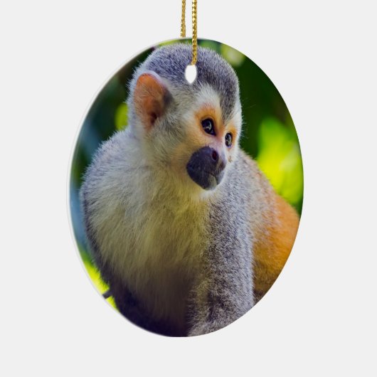 Eekhoornaapje in Manuel Antonio NP - Costa Rica Keramisch Ornament (Rechts)