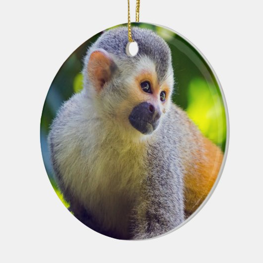 Eekhoornaapje in Manuel Antonio NP - Costa Rica Keramisch Ornament (Links)
