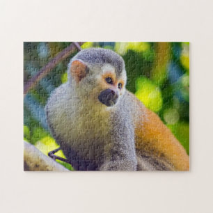 Eekhoornaapje in Manuel Antonio NP - Costa Rica Legpuzzel