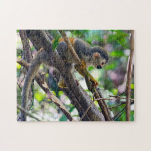 Eekhoornaapje in Manuel Antonio NP - Costa Rica Legpuzzel