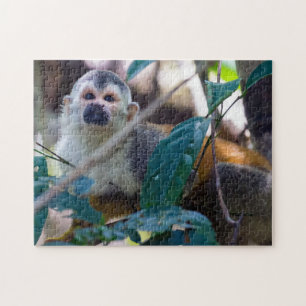 Eekhoornaapje in Manuel Antonio NP - Costa Rica Legpuzzel