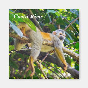 Eekhoornaapje in Manuel Antonio NP - Costa Rica Magneet