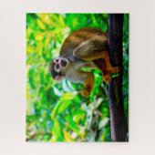 Eekhoornaapje. Legpuzzel (Verticaal)