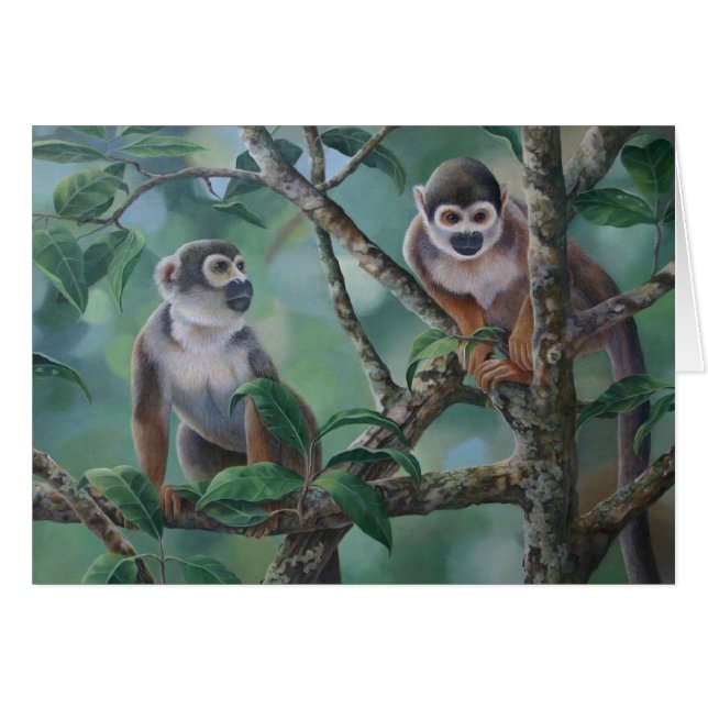 Eekhoornapen (Voorkant Horizontaal)