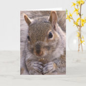Eekhoornbriefkaart Kaart (Gele Bloem)