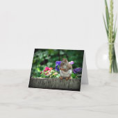 Eekhoornbriefkaart Kaart (Voorkant)