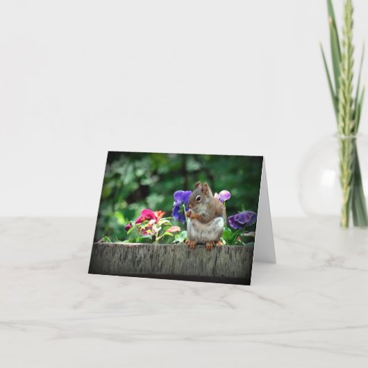 Eekhoornbriefkaart Kaart (Voorkant)