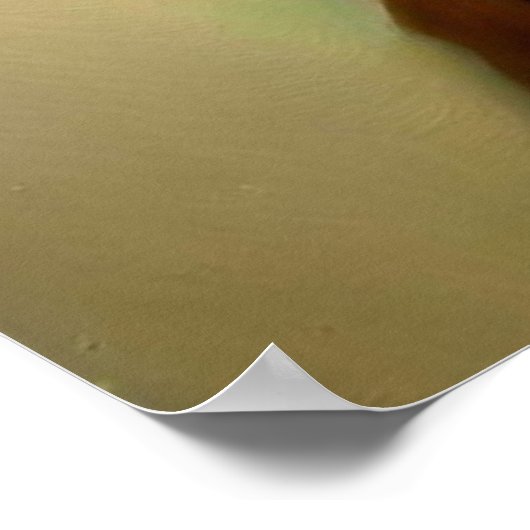 eekhoorndruïde poster (Hoek)