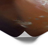 eekhoornfee poster (Hoek)