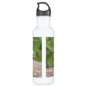 Eekhoornflesje Waterfles (Achterkant)