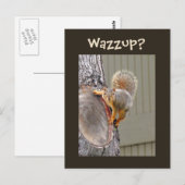 Eekhoornfoto Briefkaart (Voorkant / Achterkant)