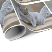 Eekhoornfoto Cadeaupapier (Rol Hoek)