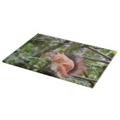 Eekhoornfoto Snijplank (Hoek)