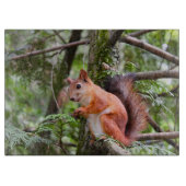 Eekhoornfoto Snijplank (Voorkant)
