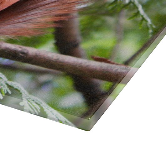 Eekhoornfoto Snijplank (Hoek)