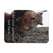 Eekhoornfotomagneet gelamineerd magneet (Horizontaal)