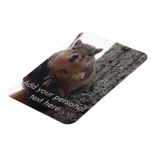 Eekhoornfotomagneet gelamineerd magneet (Linkerzijde)