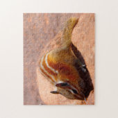 Eekhoorngeelsteen. Legpuzzel (Verticaal)