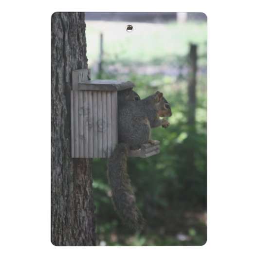 Eekhoornklembord Mini Klembord (Achterkant)
