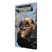 Eekhoornklembord Mini Klembord (Angled2)