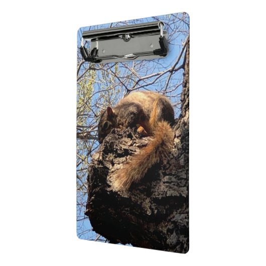 Eekhoornklembord Mini Klembord (Angled2)