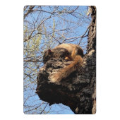 Eekhoornklembord Mini Klembord (Achterkant)