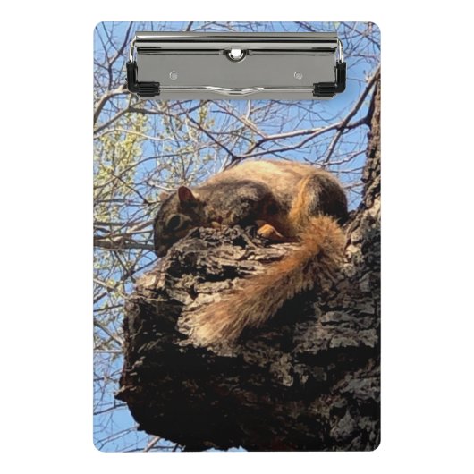 Eekhoornklembord Mini Klembord (Voorkant)