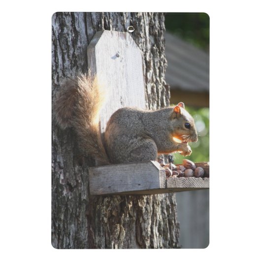 Eekhoornklemborden Mini Klembord (Achterkant)
