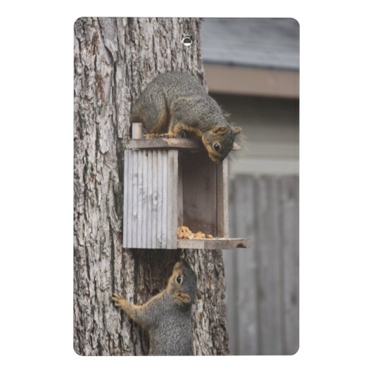 Eekhoornklemborden Mini Klembord (Achterkant)
