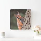 Eekhoornklok Vierkante Klok (Huis)