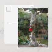 Eekhoornliefde Briefkaart (Voorkant / Achterkant)