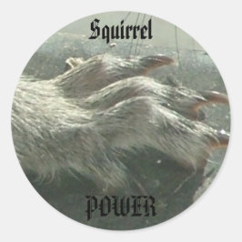 Eekhoornmacht Ronde Sticker