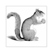 Eekhoornnoot  illustratie rubberstempel (Afrduk)
