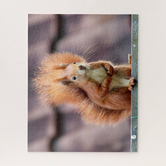 Eekhoornportret, Jigzaag Puzzle Legpuzzel (Verticaal)