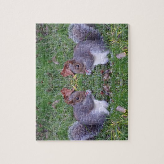 Eekhoornpuzzel Legpuzzel (Verticaal)