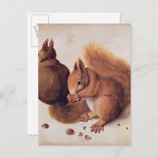 Eekhoorns, 1512 briefkaart (Voorkant / Achterkant)