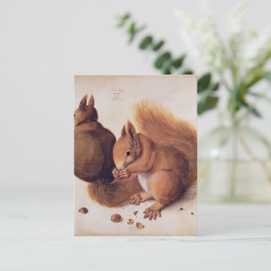 Eekhoorns, 1512 briefkaart (Staand voorkant)