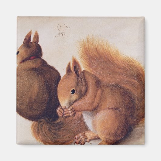 Eekhoorns, 1512 magneet (Voorkant)
