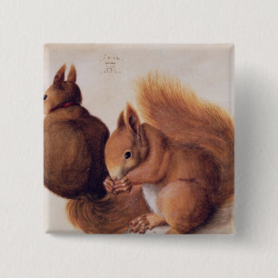 Eekhoorns, 1512 vierkante button 5,1 cm
