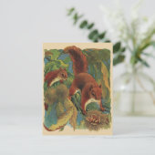 eekhoorns, boscreten, wilde dieren briefkaart (Staand voorkant)