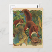 eekhoorns, boscreten, wilde dieren briefkaart (Voorkant / Achterkant)