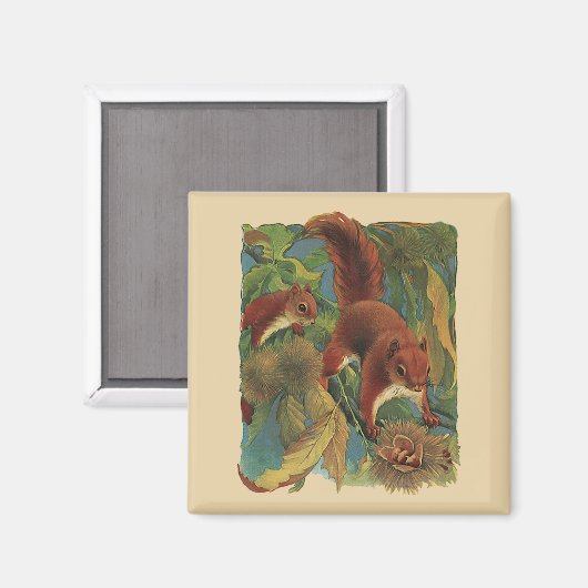 eekhoorns, boscreten, wilde dieren magneet (Voorkant / Achterkant)