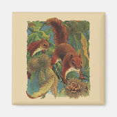  eekhoorns, boscreten, wilde dieren magneet