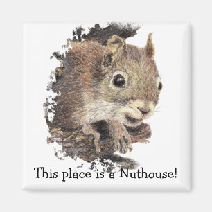 Eekhoorns Dit is een Nuthouse! Humor Magneet