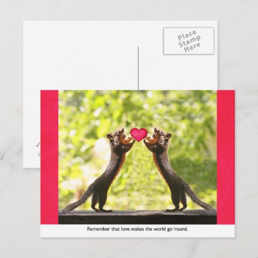 Eekhoorns in de liefde briefkaart (Voorkant / Achterkant)