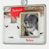 Eekhoorns in de Snow Pet-foto met kerstversiering Verzilverd Omlijst Ornament (Links)